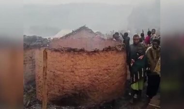 Kongo’da son bir ayda 1500 sivil öldü, 500 bin kişi yerinden edildi