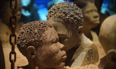 Hollanda Kraliyet ailesi, kolonilerindeki kölelik sürecine "büyük ölçüde" müdahil