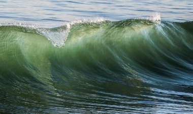 Küresel deniz yüzeyi sıcaklıkları nisan ve mayısta, 1850'den beri en yüksek seviyeyi gördü