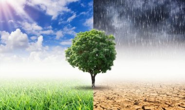 AB, ABD ve NATO'dan iklim değişikliğinin güvenlik üzerindeki etkileriyle ortak mücadele adımı