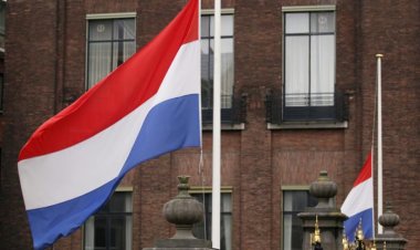 Hollanda'da göç politikası konusundaki anlaşmazlığı aşamayan hükümet düştü