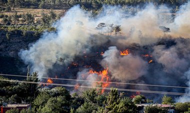 Türkiye’de 3 ilde orman yangınları sürüyor: 2 kişi tutuklandı