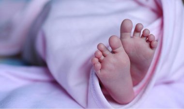 Güney Kore'de nüfusa kaydı yapılmayan bebeklerde ölüm sayısı 249'a yükseldi