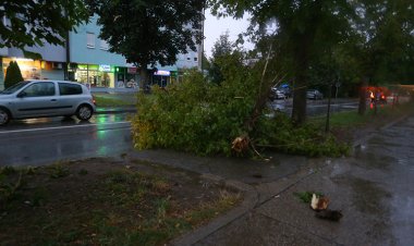 Sırbistan'da şiddetli yağış ve fırtına nedeniyle 1 çocuk hayatını kaybetti