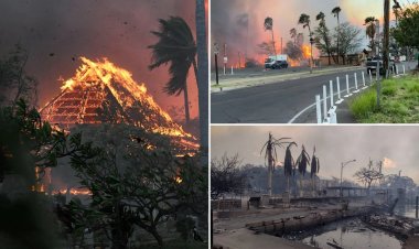 Hawaii'deki orman yangınları nedeniyle 850 kişiden haber alınamıyor