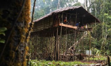 Hırsızlık yapan kabile üyelerini ateşte pişirip yiyorlar