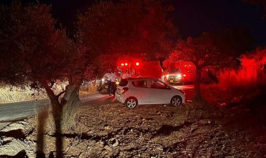 Avro-Akdeniz Gözlemevi: Filistinlilere yönelik planlı cinayetler işleniyor