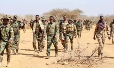 Somali'de El Şebab'a operasyon: 30 ölü