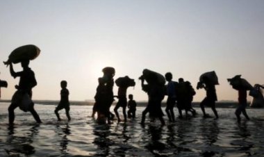 Uluslararası Göç Örgütü: Resmi olarak iklim göçü çağına girdik