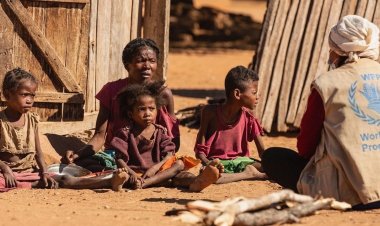 BM: 783 milyon kişi gıdaya erişimde sorun yaşıyor, 47 milyon insan açlığın eşiğinde