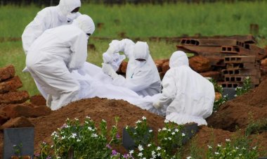 Hindistan'da Nipah virüsü kaynaklı ölüm oranları Kovid-19'a kıyasla daha yüksek