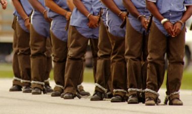 BM: ABD'deki hapishane uygulamaları ırkçı ve 'insan onuruna hakaret' içeriyor