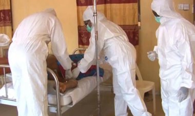 Nijerya'da Lassa ateşi salgını: 200 ölü