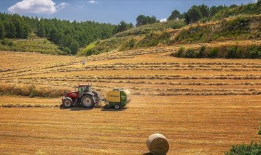 AB tarımdaki sorunları giderecek yeni strateji belirlemeye çalışıyor