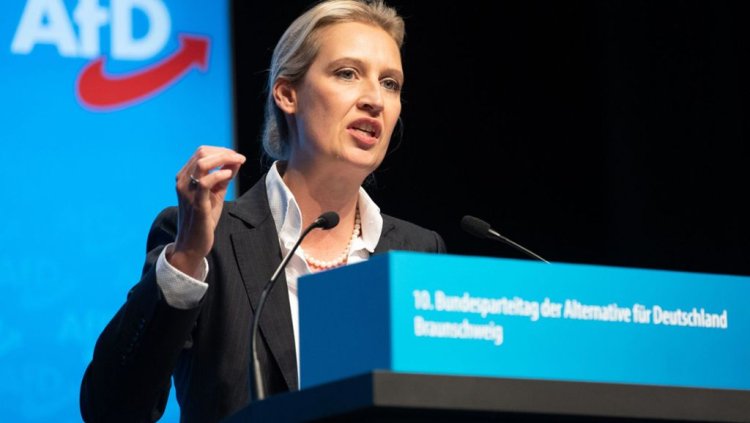 Almanya AfD partisi, iktidara gelirse ya AB'de reform ya da AB'den çıkış referandumu yapacak