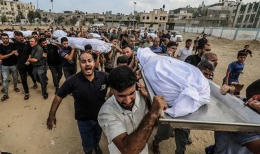 DSÖ: Gazze'deki korkunç şiddet ve acılar sona ermeli