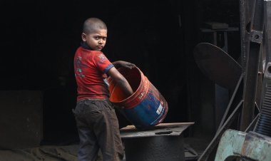 Nijerya'da 2022 yılında 24 milyondan fazla çocuk zorla çalıştırıldı