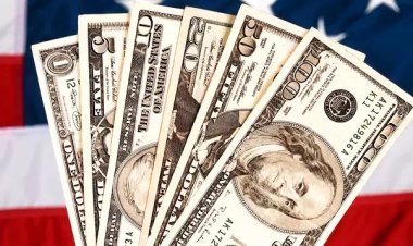 Nijerya'dan ABD'ye kaçırılan paraların geri gönderilmesi çağrısı