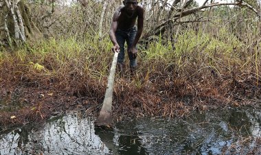Uluslararası Af Örgütü'nden Shell'e "insan hakları ihlalleri" suçlaması