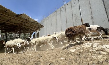'İşgalci İsrail, Filistinlileri bayramdan mahrum ediyor'