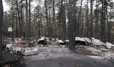 FBI, New Mexico'daki orman yangınının sorumluluları hakkında bilgi verene para ödülü vadetti