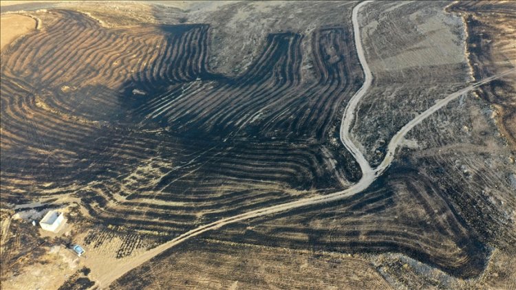 Diyarbakır'daki yangında hayatını kaybedenlerin sayısı arttı