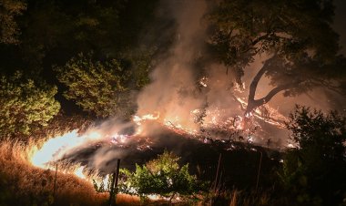 California'daki orman yangını nedeniyle 26 binden fazla kişi tahliye edildi