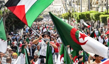 Cezayir, Gazze'yle dayanışma için tüm festivalleri durdurdu