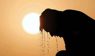 BM: Aşırı sıcaklar her yıl yarım milyon kişinin ölümüne sebep oluyor