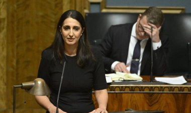 Finlandiyalı Parlamenter Razmyar: Hükümetin "soykırım yapan bir devletle silah ticareti yapması ikiyüzlülüktür"