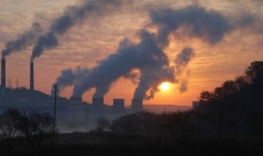 Çevre kuruluşları, AB'nin iklim hedeflerine dava açtı