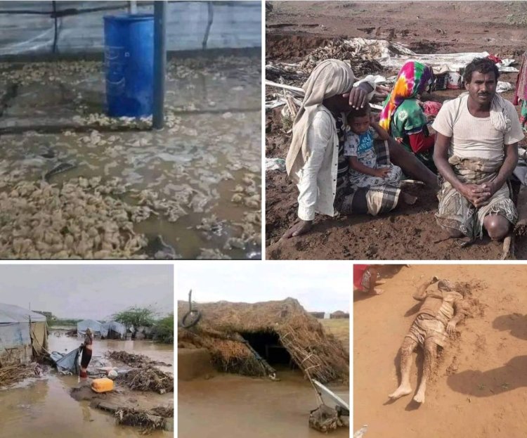 Yemen'in batısında meydana gelen selde 45 kişi yaşamını yitirdi