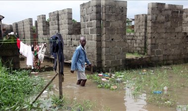 Nijerya'da seller nedeniyle ölü sayısı 192'ye çıktı