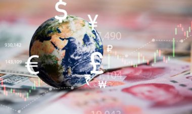 DTÖ: Küresel ticaret tek başına yoksullukla mücadeleye yardımcı olmuyor