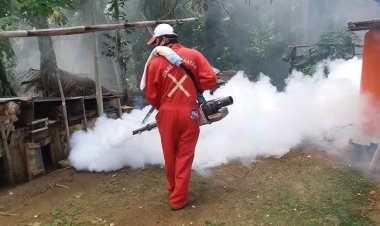 Filipinler'de 546 kişi dang hummasından öldü