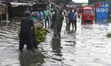 Nijerya'da sel felaketi nedeniyle 230 bin kişi yerinden oldu