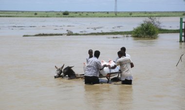 Sudan'daki kolera salgınında ölenlerin sayısı 252'ye çıktı
