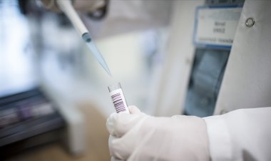 Dünya Sağlık Örgütü, maymun çiçeği virüsüne karşı ilk aşıya onay verdi