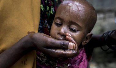 Sudan'daki kolera salgınında hayatını kaybedenlerin sayısı 335'e yükseldi