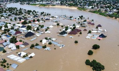 Nijer'de yağışların yol açtığı sel ve heyelanda ölü sayısı artıyor
