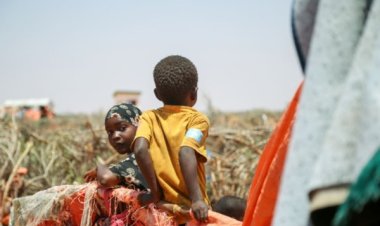 Güney Afrika'da yaklaşık 40 milyon kişi gıda güvensizliğiyle karşı karşıya