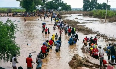 Nijerya'nın kuzeydoğusunda geçen ayki sel felaketinde 150 kişi öldü