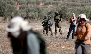 Gaspçı İsrailliler, Batı Şeria'da zeytin toplayan Filistinlilere saldırdı