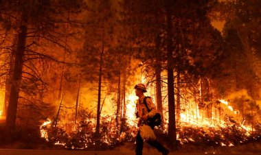Güney Kaliforniya'da hızla yayılan orman yangını binlerce kişiyi göçe zorladı