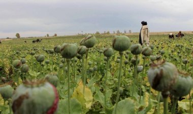 Afganistan'da uyuşturucu laboratuvarları imha edildi