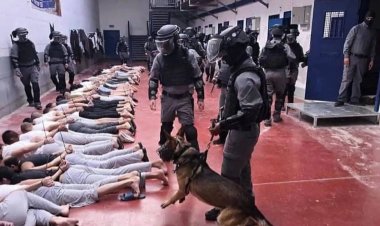 'Binlerce esir başka türden bir soykırımla karşı karşıya'