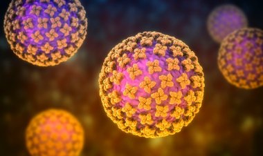 Avustralya'da 323 şişe ölümcül virüs kayboldu