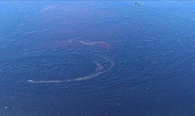 Rusya: Kerç'teki tanker kazalarında yaklaşık 2 bin 400 ton petrol denize sızdı