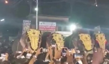 Hindistan'daki festivalde fil saldırısı: 17 yaralı