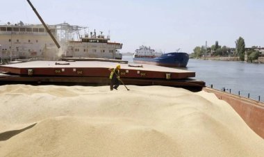 Rusya, Etiyopya'ya 1.630 ton tahıl bağışladı